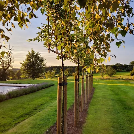 A Proximite De Spa-francorchamps, Formules 1