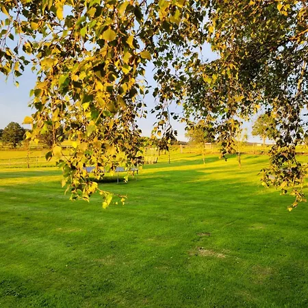 A Proximite De Spa-francorchamps, Formules 1