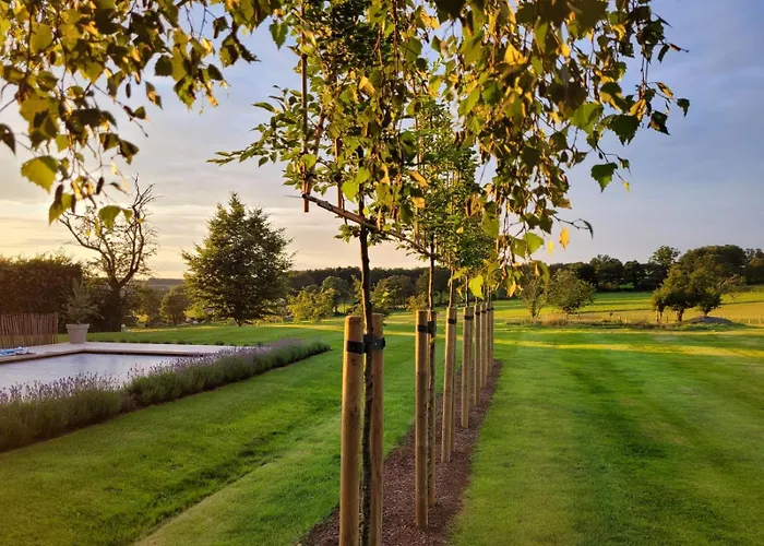 A Proximite De Spa-francorchamps, Formules 1